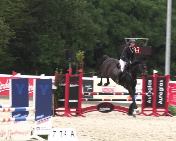 Reitturnier Essen - Herbstturnier 2023