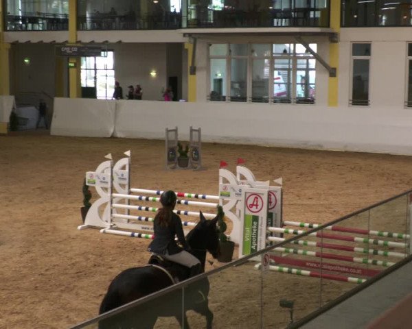 Springturnier Stadl Paura 2023