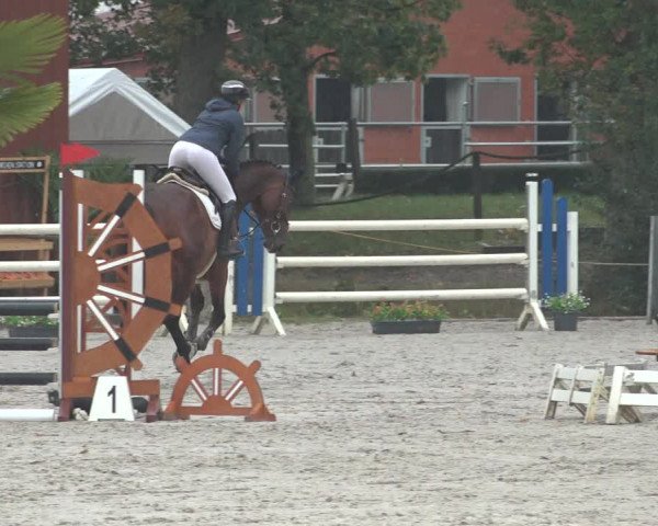 Reitturnier Handorf 2023