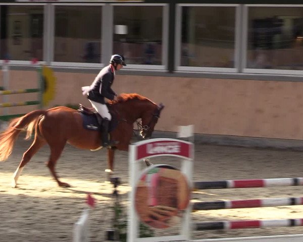 Reitturnier Salzkotten 2023