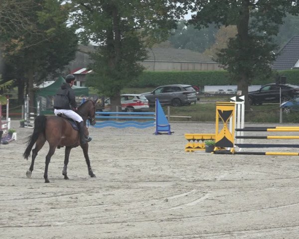Reitturnier Handorf 2023