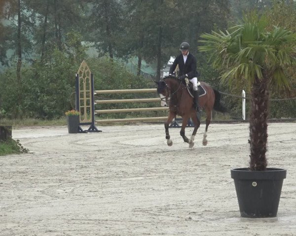 Reitturnier Handorf 2023
