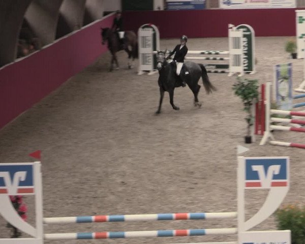 Reitturnier Krumke 2023