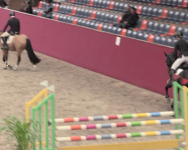 Reitturnier Krumke 2023