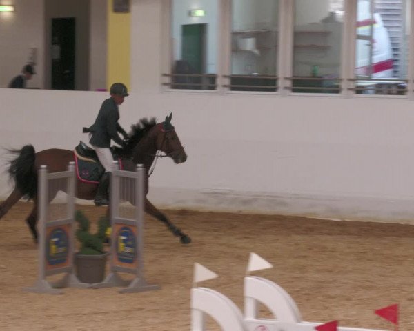 Springturnier Stadl Paura 2023