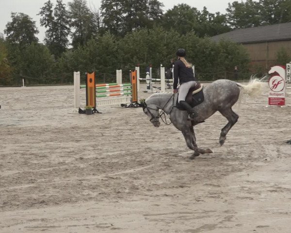Reitturnier Handorf 2023