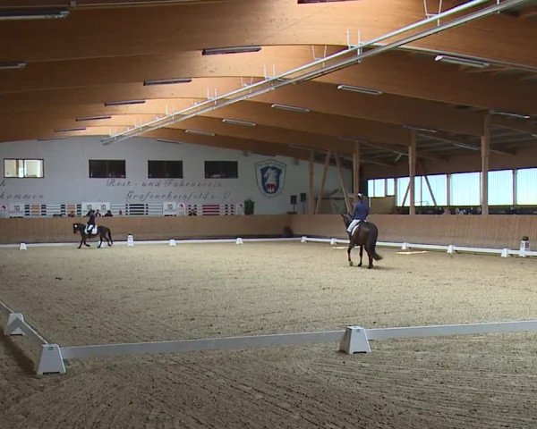 Reitturnier Grafenrheinfeld/Ufr. 2023