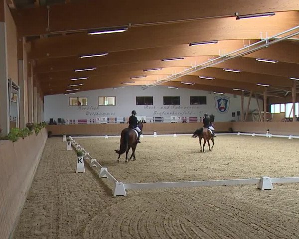Reitturnier Grafenrheinfeld/Ufr. 2023