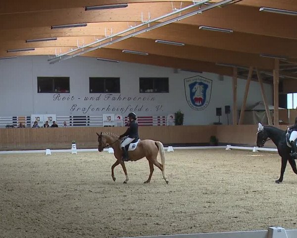 Reitturnier Grafenrheinfeld/Ufr. 2023