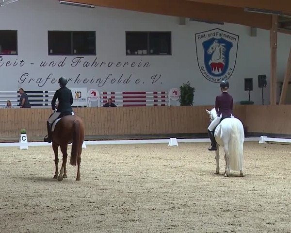 Reitturnier Grafenrheinfeld/Ufr. 2023