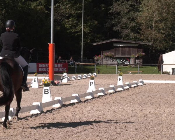 Dressurturnier Igls 2023