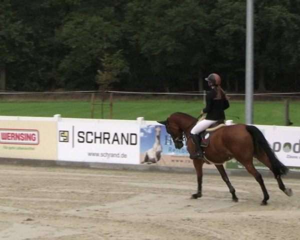 Reitturnier Essen - Herbstturnier 2023
