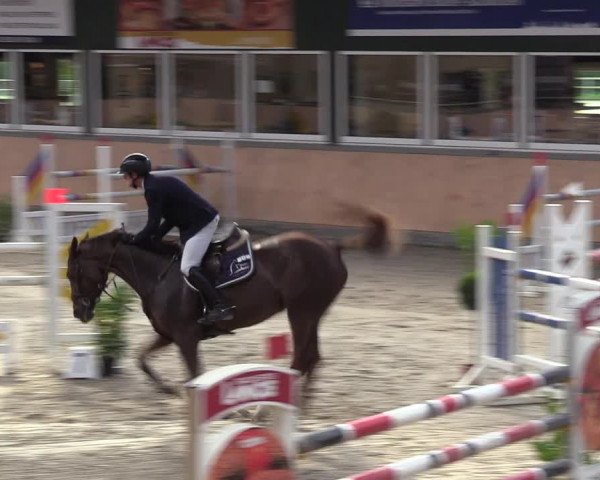 Reitturnier Salzkotten 2023