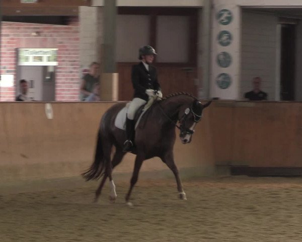 Reitturnier Appelhülsen 2021