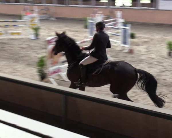 Reitturnier Salzkotten 2023