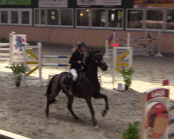 Reitturnier Salzkotten 2023