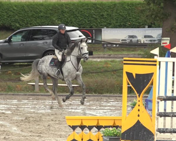 Reitturnier Handorf 2023