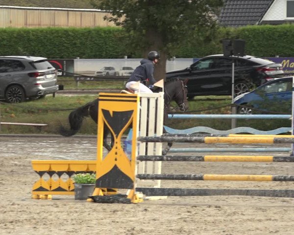Reitturnier Handorf 2023