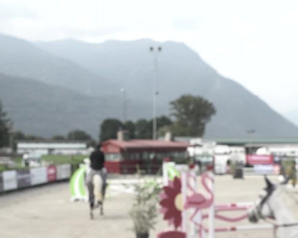 Reitturnier Giubiasco 2023