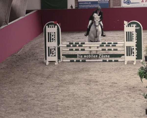 Reitturnier Krumke 2023