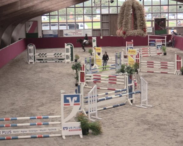 Reitturnier Krumke 2023