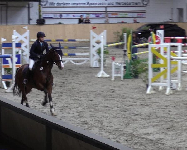 Reitturnier Salzkotten 2023