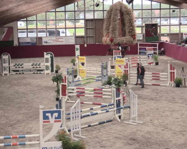 Reitturnier Krumke 2023