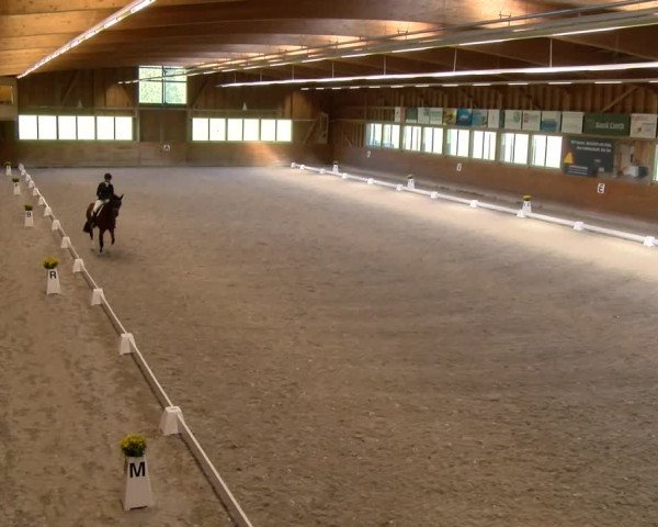 Reitturnier Rüti 2023