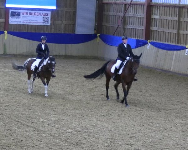 Reitturnier Villmar 2023