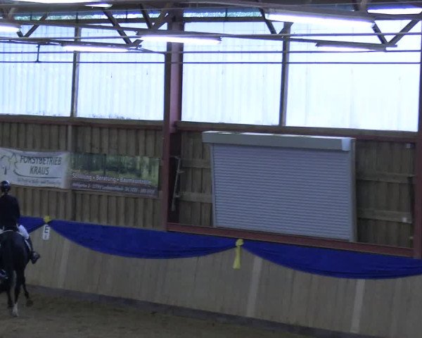 Reitturnier Villmar 2023