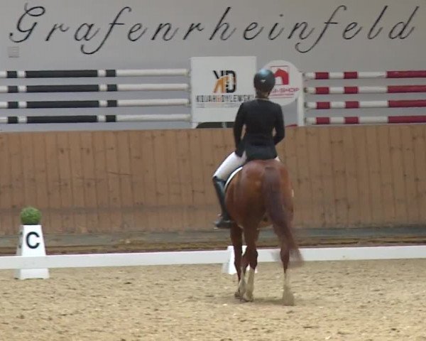 Reitturnier Grafenrheinfeld/Ufr. 2023