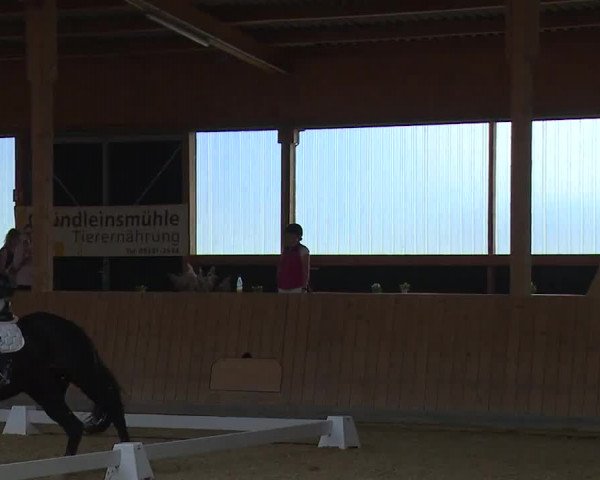 Reitturnier Grafenrheinfeld/Ufr. 2023