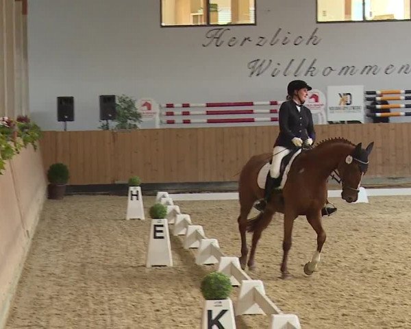 Reitturnier Grafenrheinfeld/Ufr. 2023