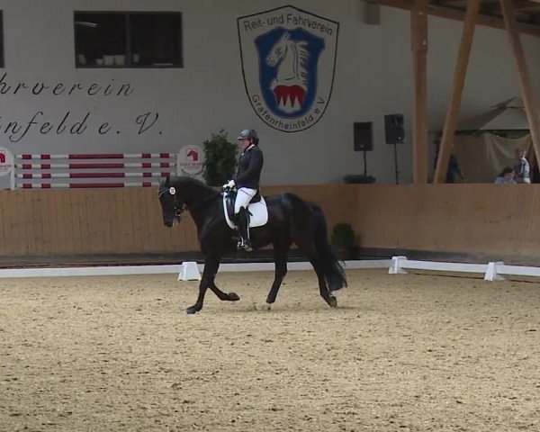 Reitturnier Grafenrheinfeld/Ufr. 2023