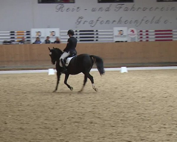 Reitturnier Grafenrheinfeld/Ufr. 2023
