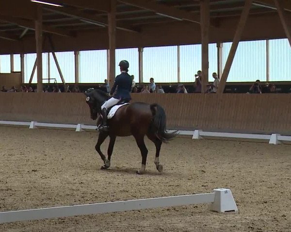 Reitturnier Grafenrheinfeld/Ufr. 2023