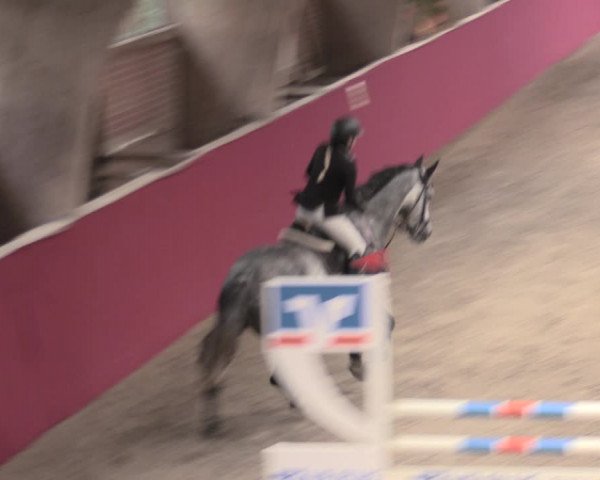 Reitturnier Krumke 2023