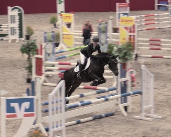 Reitturnier Krumke 2023