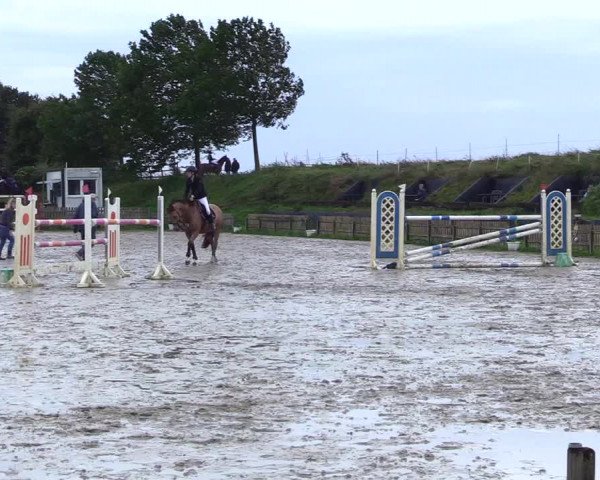 Reitturnier Schülp / Rendsburg 2023