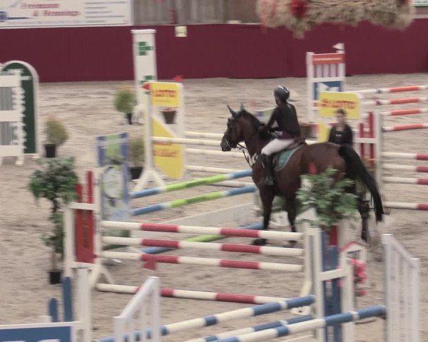 Reitturnier Krumke 2023