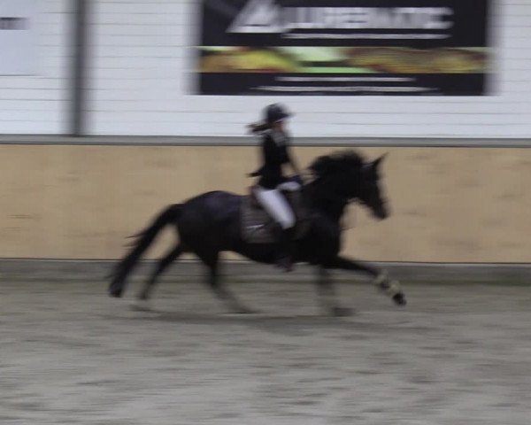 Reitturnier Salzkotten 2023