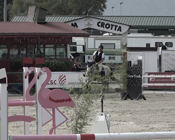 Reitturnier Giubiasco 2023