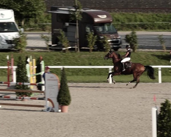 Pferdesporttage Bülach 2021