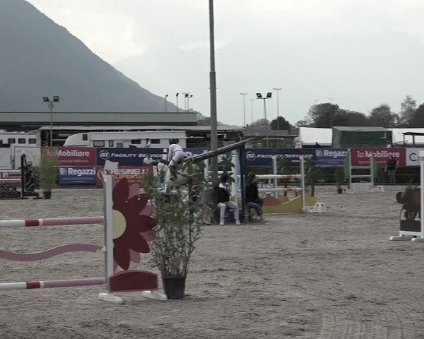 Reitturnier Giubiasco 2023