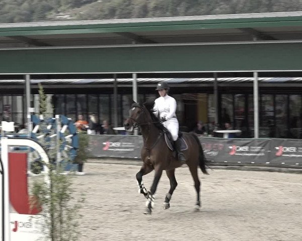 Reitturnier Giubiasco 2023