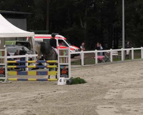Reitturnier Essen - Herbstturnier 2023