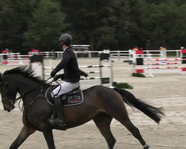 Reitturnier Essen - Herbstturnier 2023