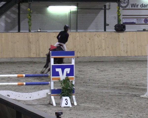 Reitturnier Salzkotten 2023