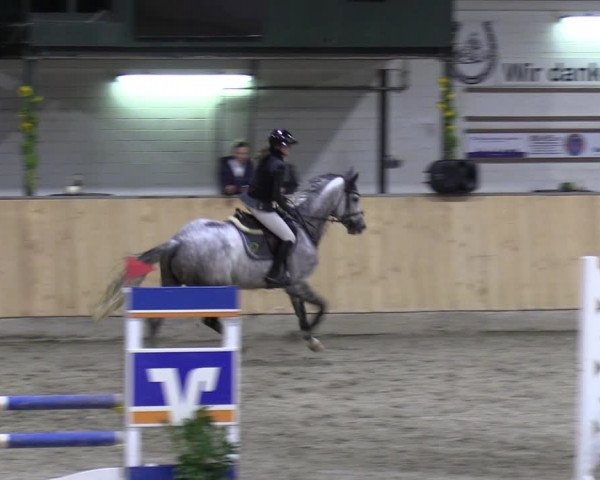 Reitturnier Salzkotten 2023