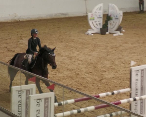 Springturnier Stadl Paura 2023